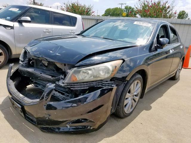 5KBCP3F80BB003543 - 2011 HONDA ACCORD EXL BLACK photo 2