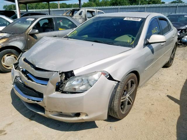 1G1ZH57B69F172976 - 2009 CHEVROLET MALIBU 1LT 金色 照片 2
