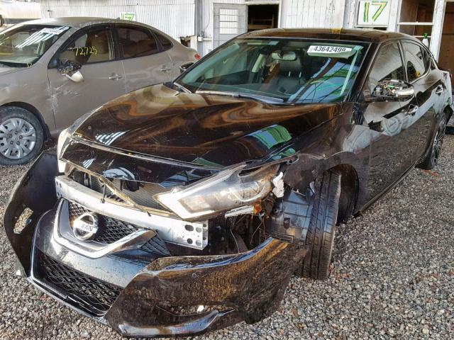 1N4AA6AP8GC448064 - 2016 NISSAN MAXIMA 3.5 BLACK photo 2