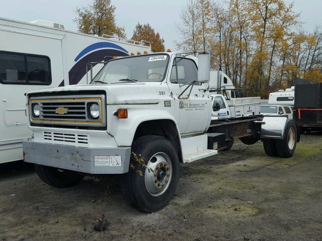 C17DDAV114005 - 1980 CHEVROLET FLATBED WHITE photo 2