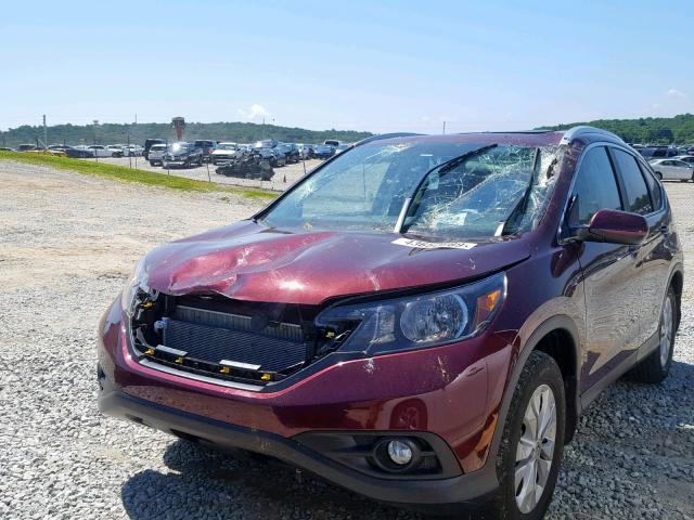 5J6RM3H75DL022105 - 2013 HONDA CR-V EXL MAROON photo 2