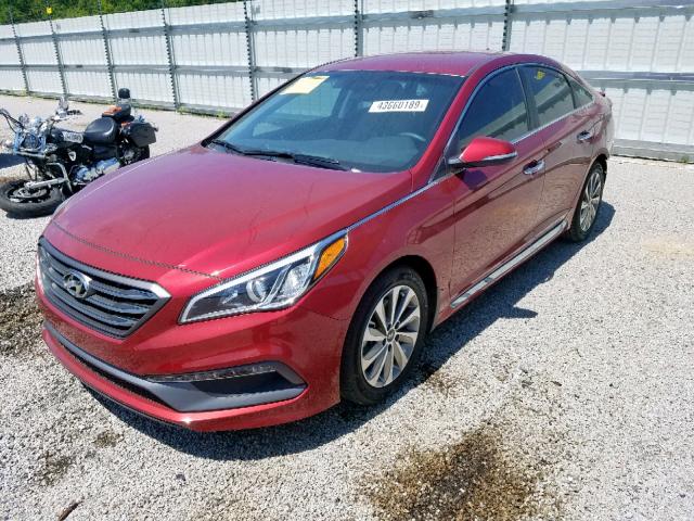 5NPE34AF8FH075645 - 2015 HYUNDAI SONATA SPO RED photo 2