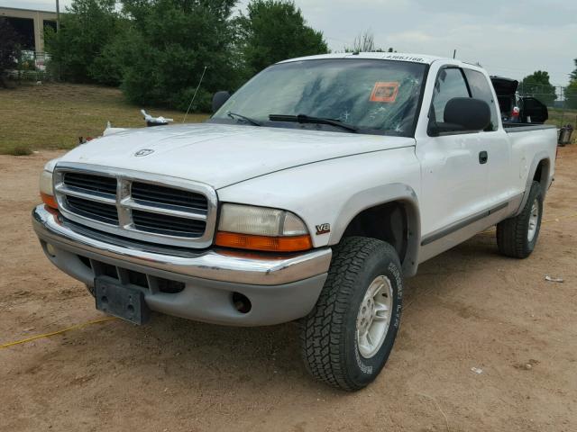 1B7GG22N6YS621757 - 2000 DODGE DAKOTA WHITE photo 2