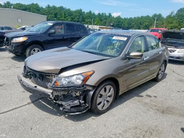 1HGCP36849A003919 - 2009 HONDA ACCORD EXL GOLD photo 2