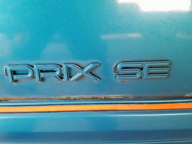 1G2WJ52M3SF306344 - 1995 PONTIAC GRAND PRIX BLUE photo 9