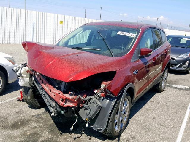 1FMCU0HX9DUB99398 - 2013 FORD ESCAPE SEL RED photo 2