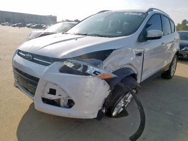 1FMCU0JX6EUA13103 - 2014 FORD ESCAPE TIT WHITE photo 2