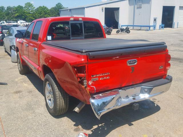 1D3HW58P17S182443 - 2007 DODGE DAKOTA QUA RED photo 3