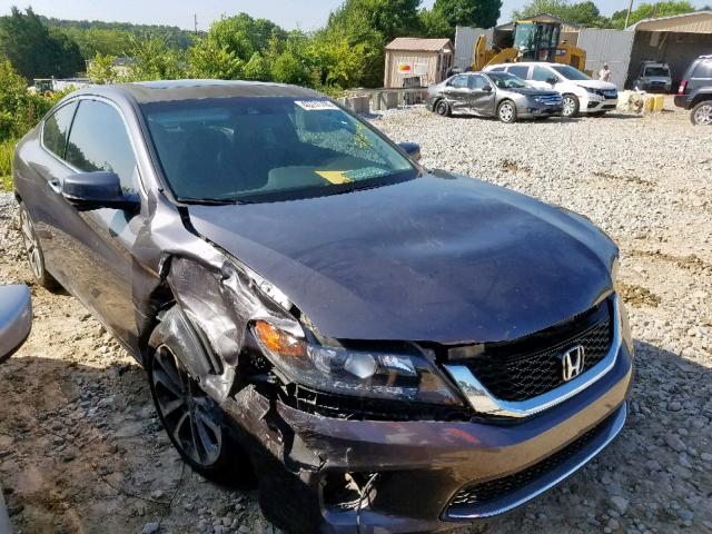 1HGCT2B89EA003663 - 2014 HONDA ACCORD EXL GRAY photo 1