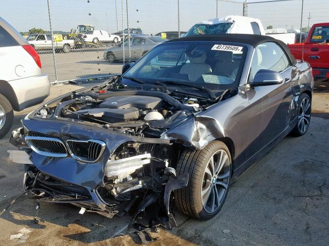 WBA1L9C55GV767733 - 2016 BMW 228 XI GRAY photo 2