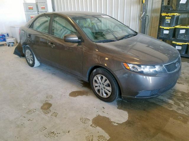 KNAFU4A26D5734864 - 2013 KIA FORTE EX BROWN photo 1