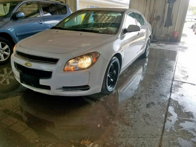 1G1ZC5EBXAF302585 - 2010 CHEVROLET MALIBU 1LT 白色 照片 2