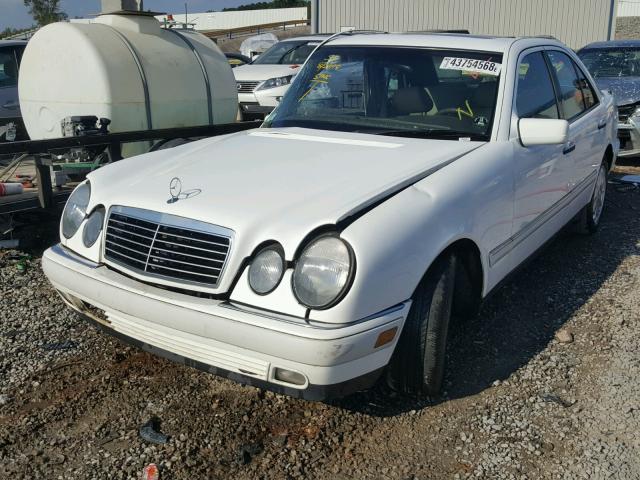 WDBJF55FXTJ014384 - 1996 MERCEDES-BENZ E 320 WHITE photo 2