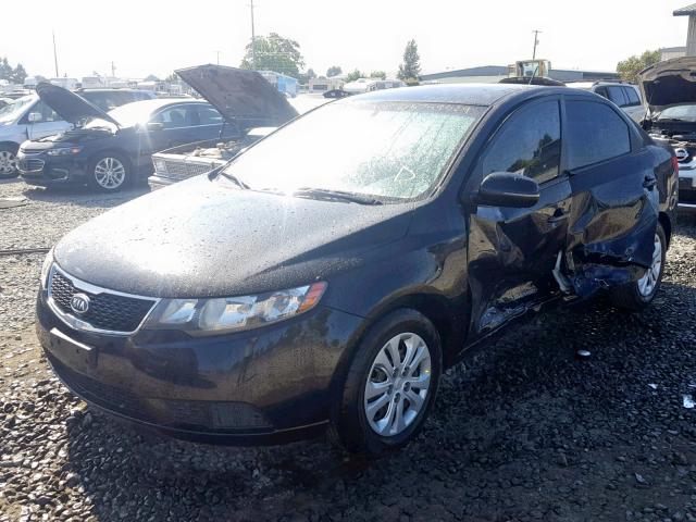 KNAFU4A24C5586227 - 2012 KIA FORTE EX BLACK photo 2