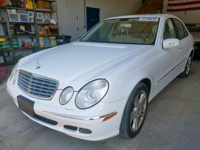 WDBUF87J46X204120 - 2006 MERCEDES-BENZ E 350 4MAT WHITE photo 2