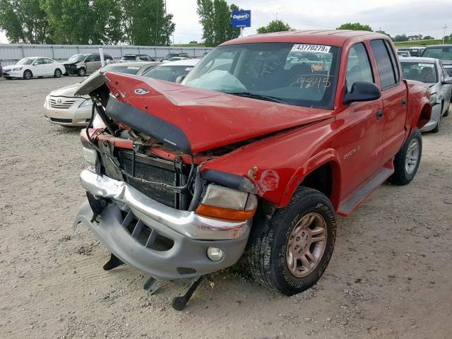 1B7HG48N22S579845 - 2002 DODGE DAKOTA QUA RED photo 2