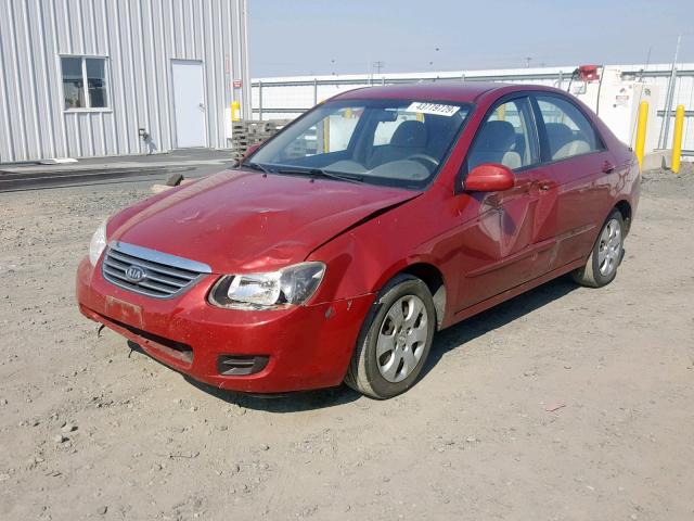 KNAFE122385583126 - 2008 KIA SPECTRA EX RED photo 2