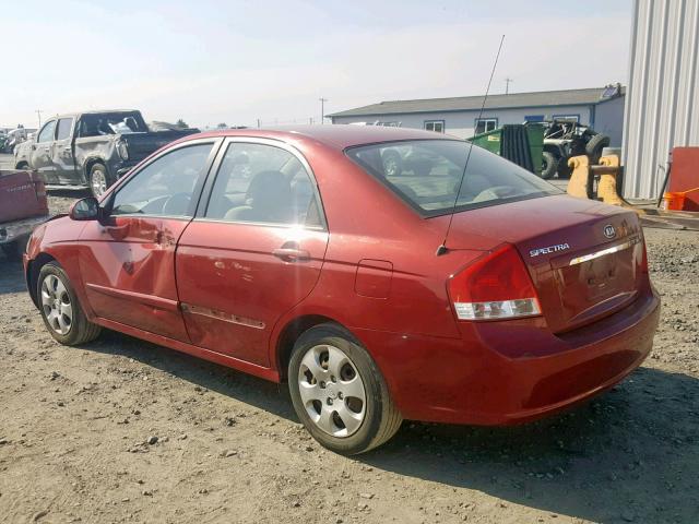 KNAFE122385583126 - 2008 KIA SPECTRA EX RED photo 3