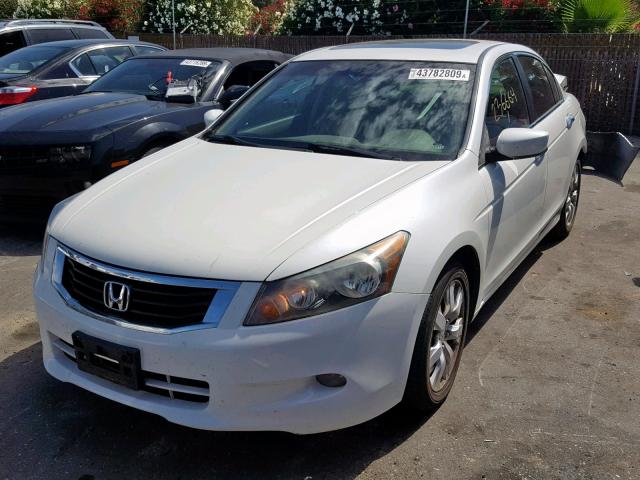 1HGCP3F86AA000850 - 2010 HONDA ACCORD EXL WHITE photo 2