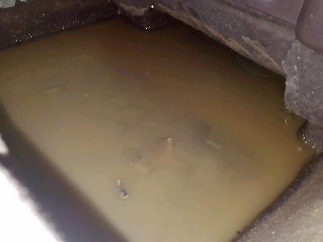 1G1ZH57B28F256212 - 2008 CHEVROLET MALIBU 1LT 棕色 照片 9