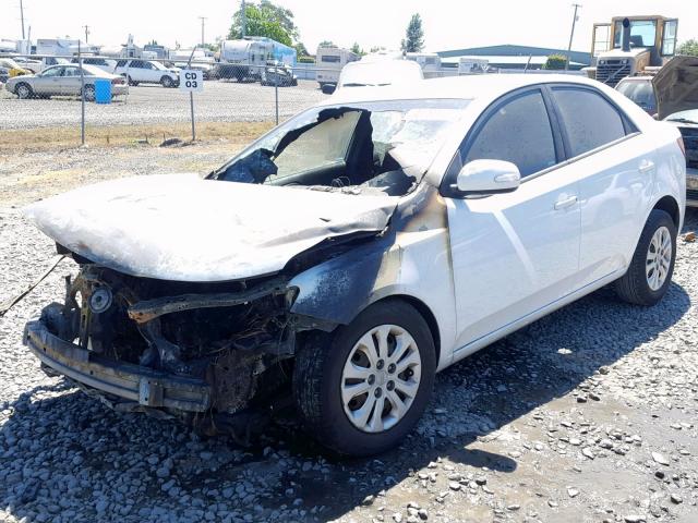 KNAFU4A24A5178713 - 2010 KIA FORTE EX WHITE photo 2