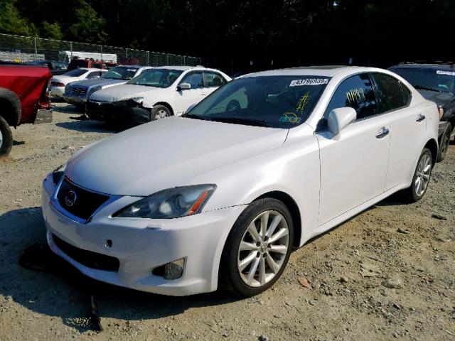 JTHCF5C23A5042543 - 2010 LEXUS IS 250 WHITE photo 2