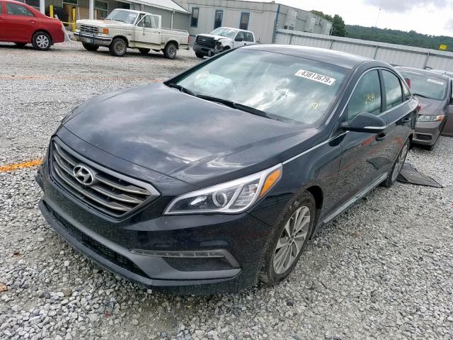 5NPE34AF4HH558519 - 2017 HYUNDAI SONATA SPO BLACK photo 2