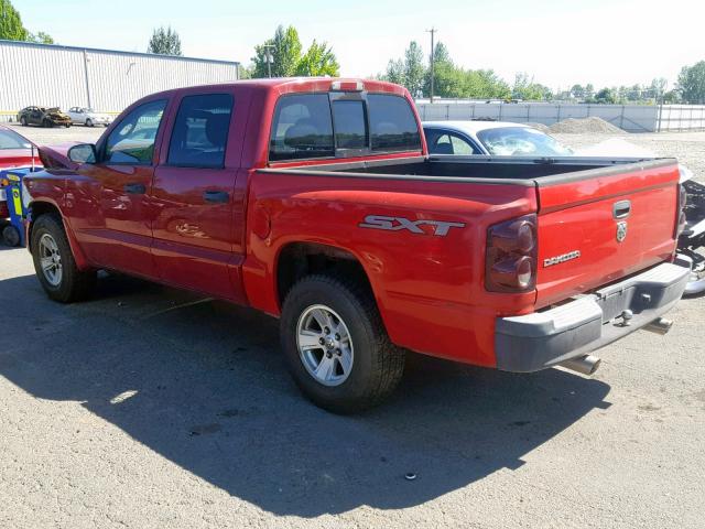 1D7HW48N68S516071 - 2008 DODGE DAKOTA QUA RED photo 3