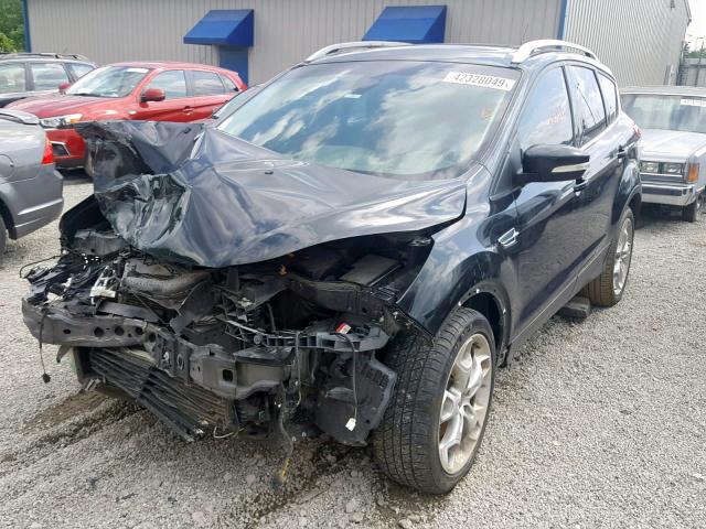 1FMCU0JX7EUA60253 - 2014 FORD ESCAPE TIT BLACK photo 2