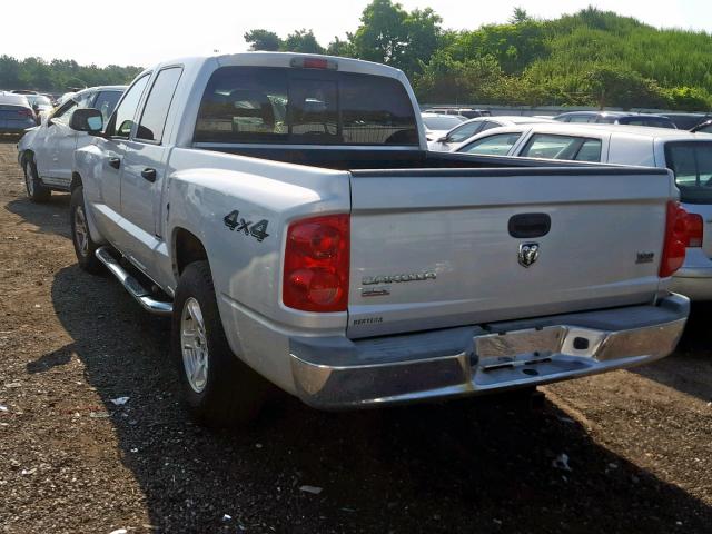 1D7HW48N25S253749 - 2005 DODGE DAKOTA QUA GRAY photo 3