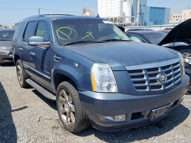 1GYUKBEF1AR136522 - 2010 CADILLAC ESCALADE L BLUE photo 1