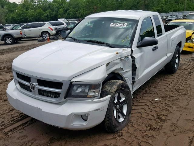 1D7RE3BK8BS683670 - 2011 DODGE DAKOTA SLT WHITE photo 2