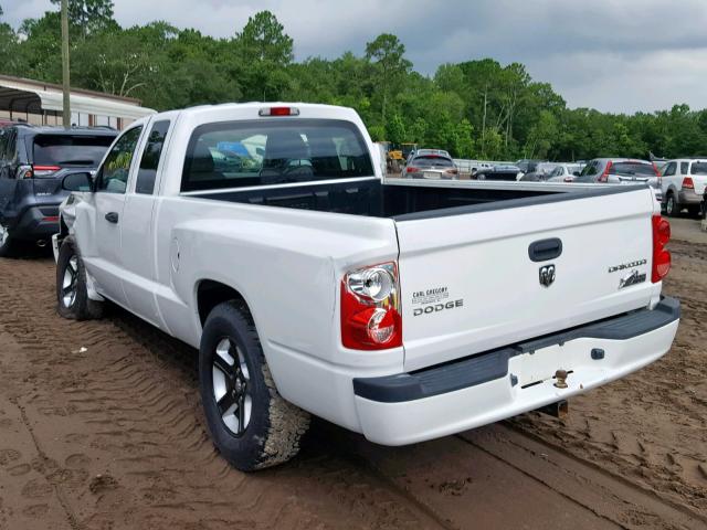 1D7RE3BK8BS683670 - 2011 DODGE DAKOTA SLT WHITE photo 3