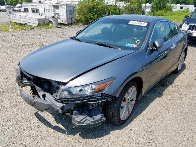 1HGCS228X8A003551 - 2008 HONDA ACCORD EXL GRAY photo 2