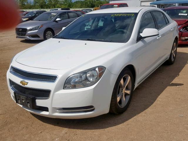 1G1ZC5EU2BF123878 - 2011 CHEVROLET MALIBU 1LT 白色 照片 2