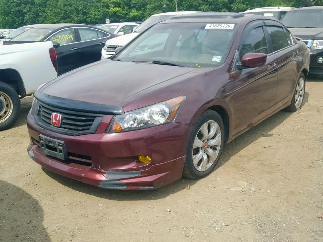 1HGCP26818A005006 - 2008 HONDA ACCORD EXL BURGUNDY photo 2