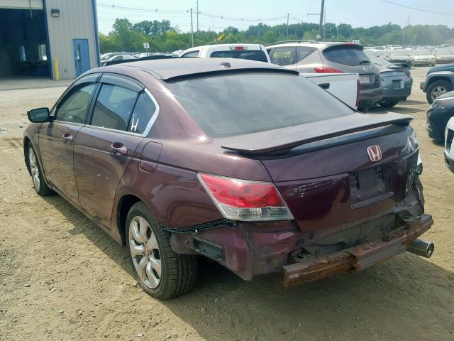 1HGCP26818A005006 - 2008 HONDA ACCORD EXL BURGUNDY photo 3