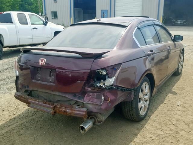 1HGCP26818A005006 - 2008 HONDA ACCORD EXL BURGUNDY photo 4