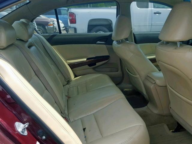 1HGCP26818A005006 - 2008 HONDA ACCORD EXL BURGUNDY photo 6