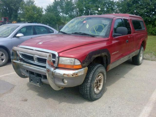 1B7GG22Y1XS104343 - 1999 DODGE DAKOTA RED photo 2