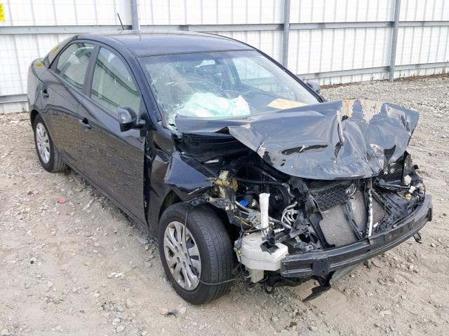 KNAFU4A24D5646055 - 2013 KIA FORTE EX BLACK photo 1