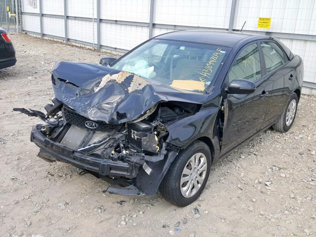 KNAFU4A24D5646055 - 2013 KIA FORTE EX BLACK photo 2