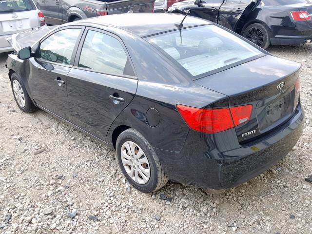 KNAFU4A24D5646055 - 2013 KIA FORTE EX BLACK photo 3