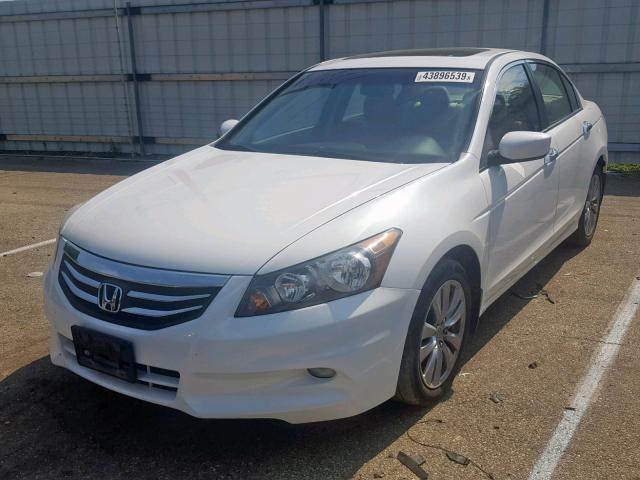 1HGCP3F86BA031405 - 2011 HONDA ACCORD EXL WHITE photo 2