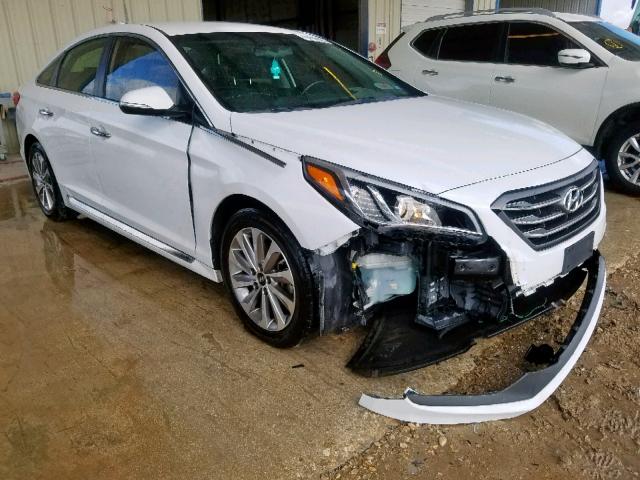 5NPE34AF6FH042448 - 2015 HYUNDAI SONATA SPO WHITE photo 1