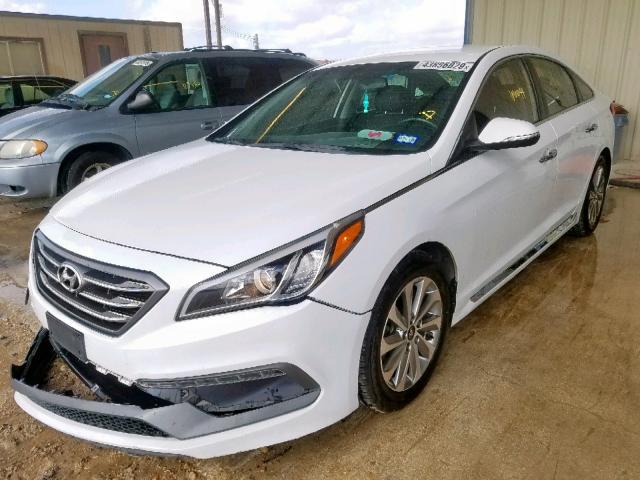 5NPE34AF6FH042448 - 2015 HYUNDAI SONATA SPO WHITE photo 2