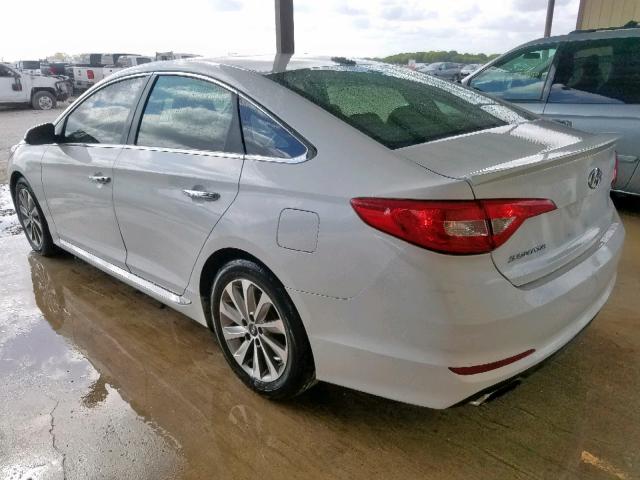 5NPE34AF6FH042448 - 2015 HYUNDAI SONATA SPO WHITE photo 3