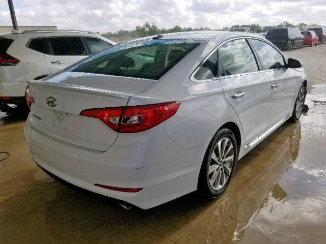 5NPE34AF6FH042448 - 2015 HYUNDAI SONATA SPO WHITE photo 4