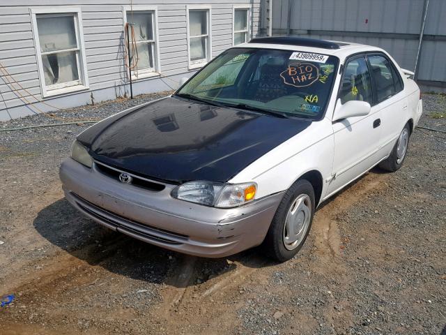 2T1BR18E2WC025663 - 1998 TOYOTA COROLLA VE WHITE photo 2