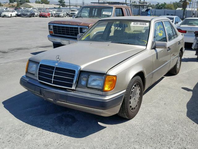 WDBEA26D7MB353188 - 1991 MERCEDES-BENZ 300 E 2.6 GOLD photo 2